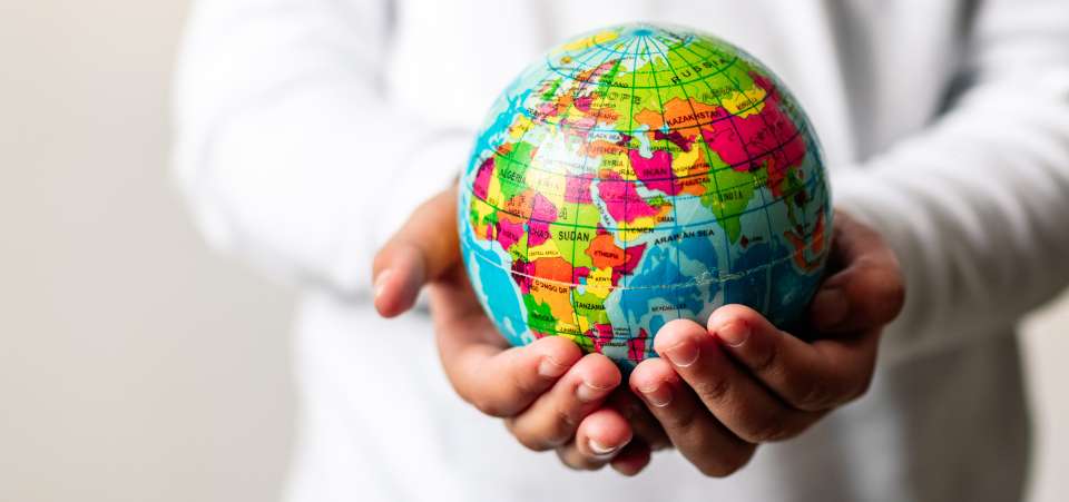 Sustainable software approach that reduces paper use through digital document management
